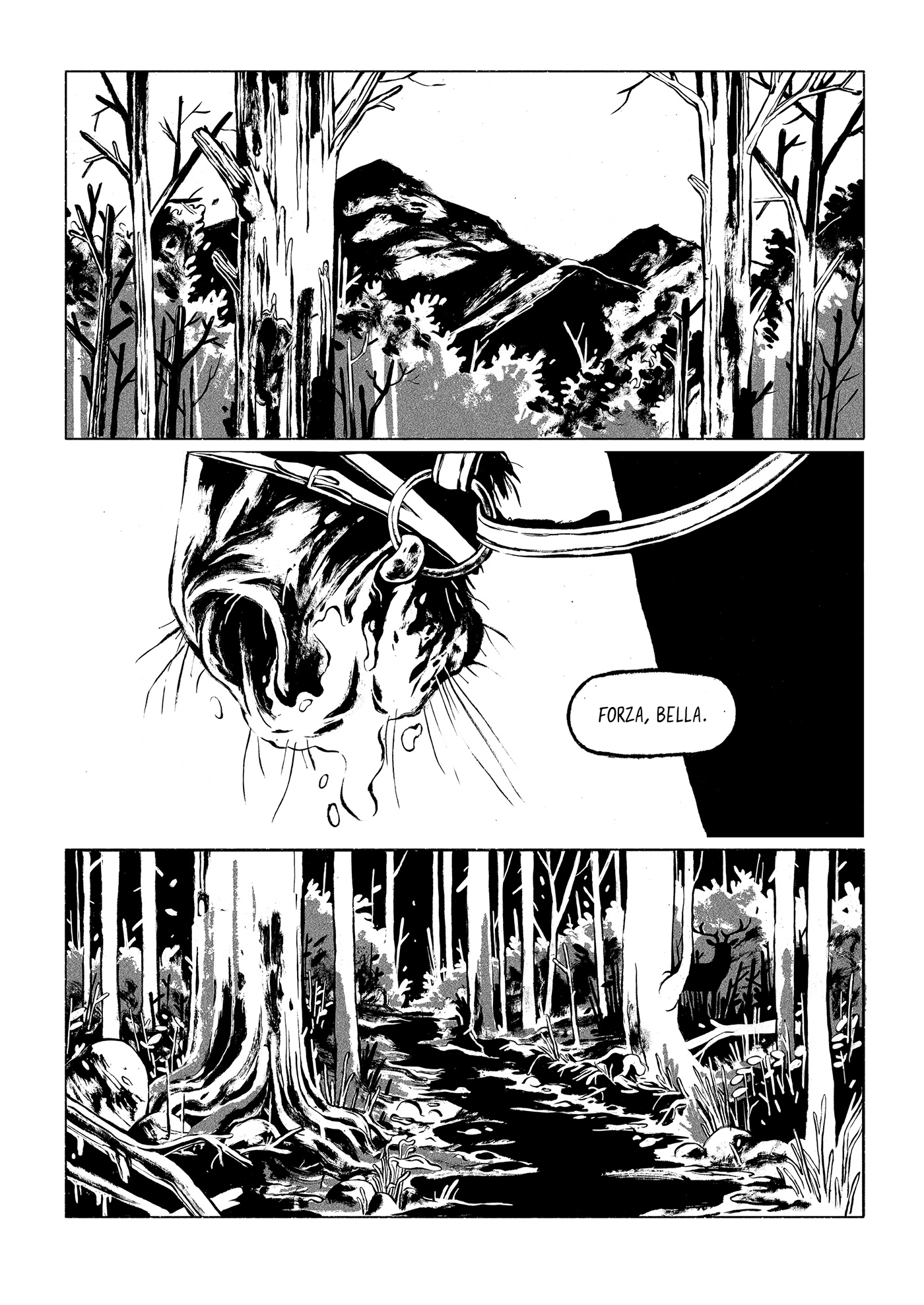 black book comic Drawing  graphicnovel horse ILLUSTRATION  Nature thriller White
