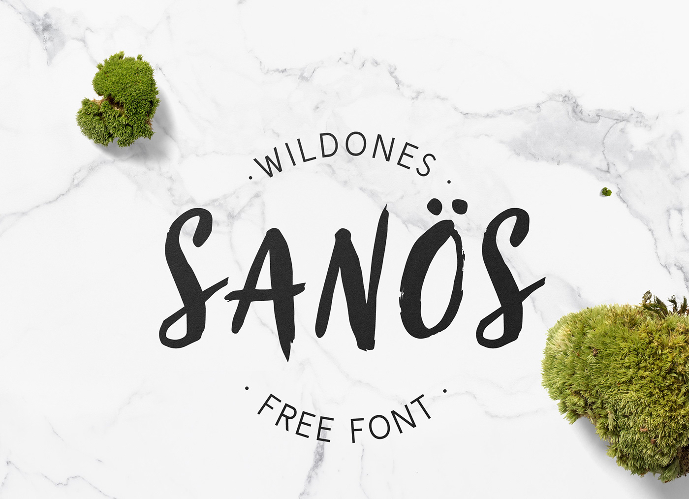 free brush font Free font font Typeface freebie best script type wildones wildtype wildpicks