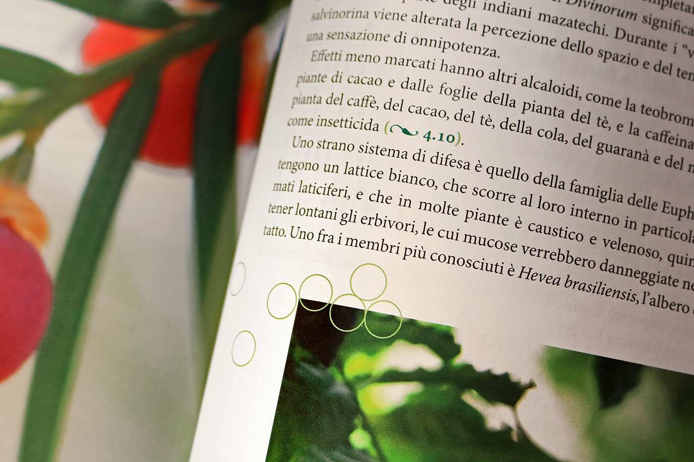 book editorial design  Flowers Layout Nature plants typography  