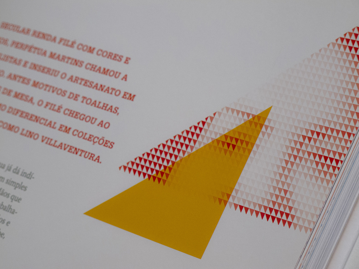 Adobe Portfolio brochure  book Livro  moda  anuario  tabela  triangulo yearbook triangle table ceará report ANNUAL graph