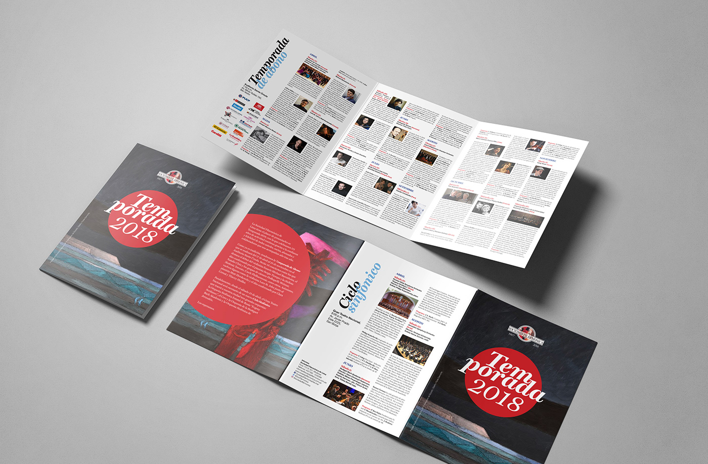 graphic design  brand visual identity designer editorial design  magazine brochure flyer Advertising 