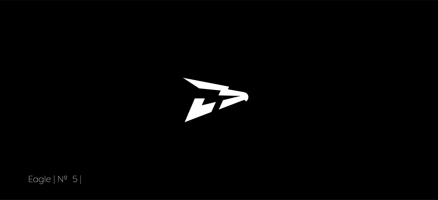 animal bird brand eagle eagles identity logo logos Logotype visual