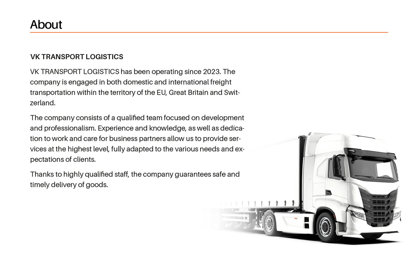 logo Logistics транспорт design brand identity branding  company visual identity guidelines brandbook