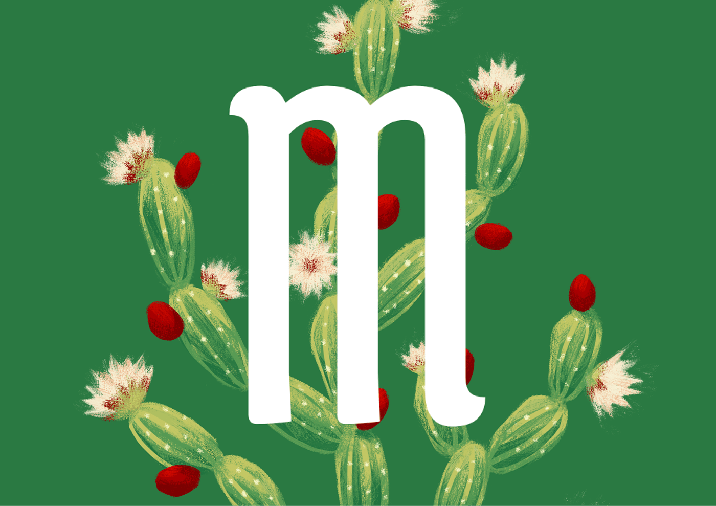 beauty cactus llustration Logo Design Logotype Nature plants