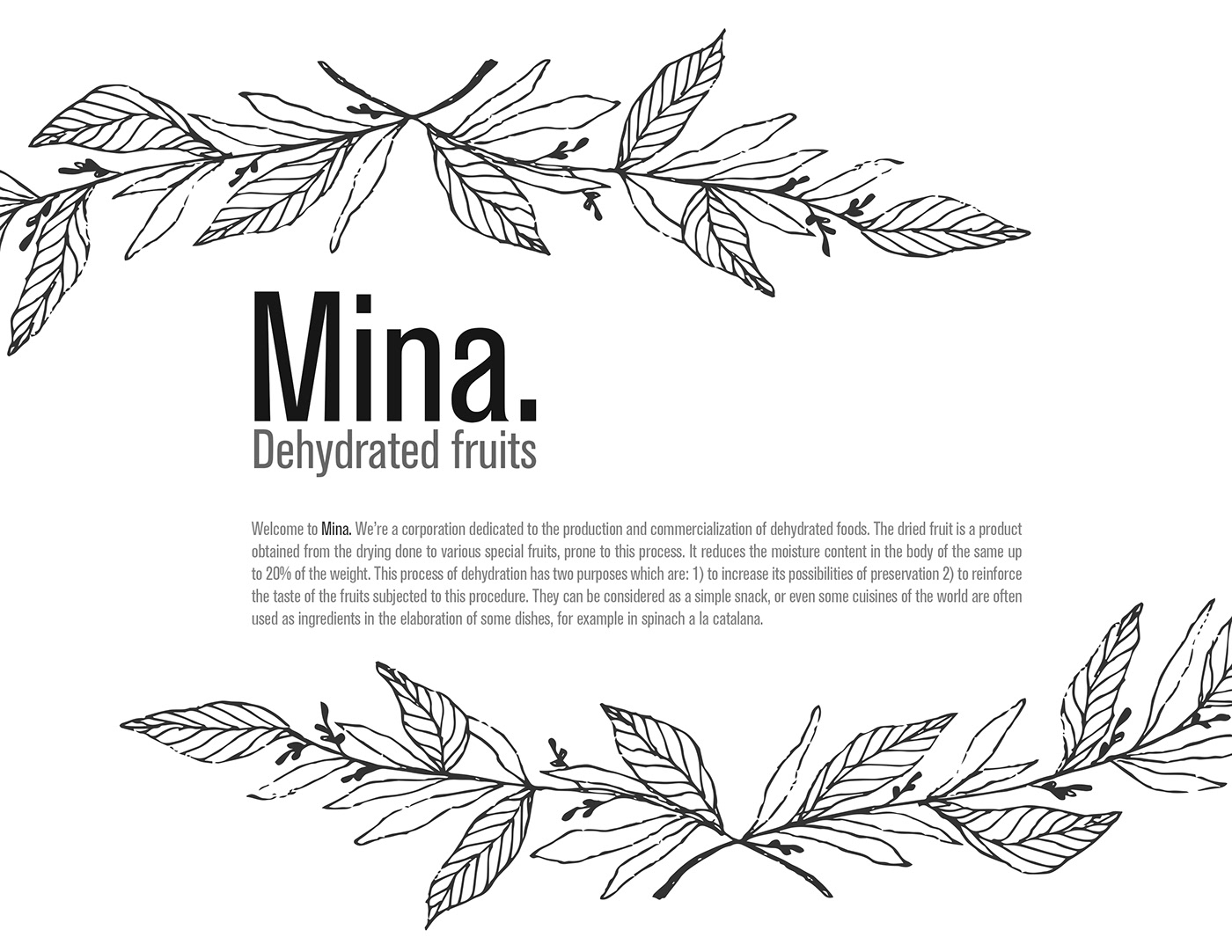 Packaging fruits brand Mina dehydrated Intpiece design product graphic jar
