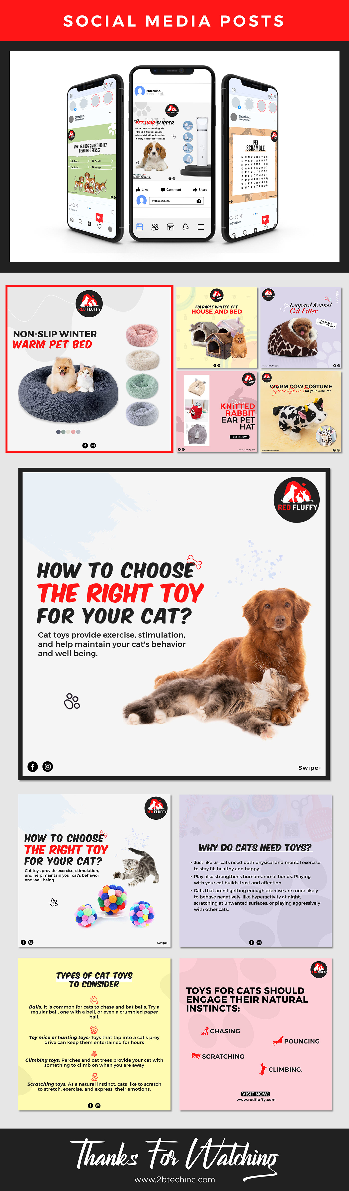 Advertising  cats dog Pet pet clothes pet products petshop Social media post
