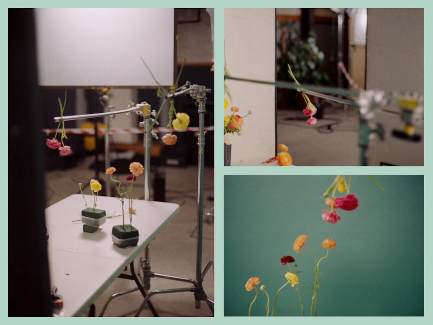analog flower arrangement Flowers still life behind the scenes film photography floral flower photography making of tulip
