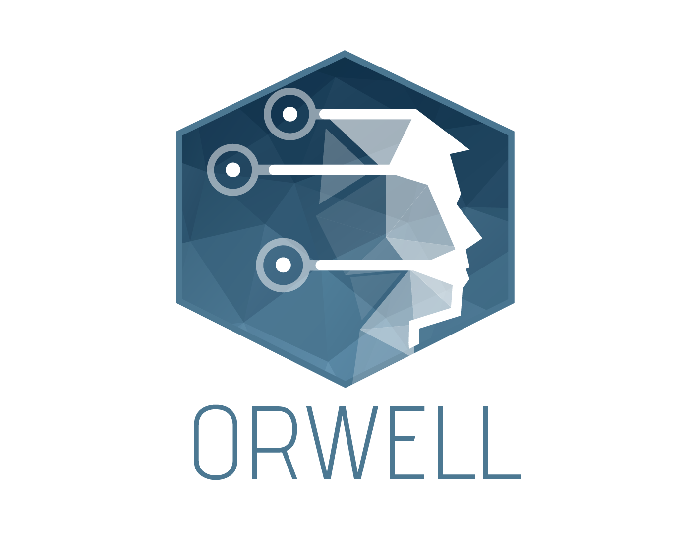 logodesign logo graphic design  typography   Orwell game design  Low Poly Triangles