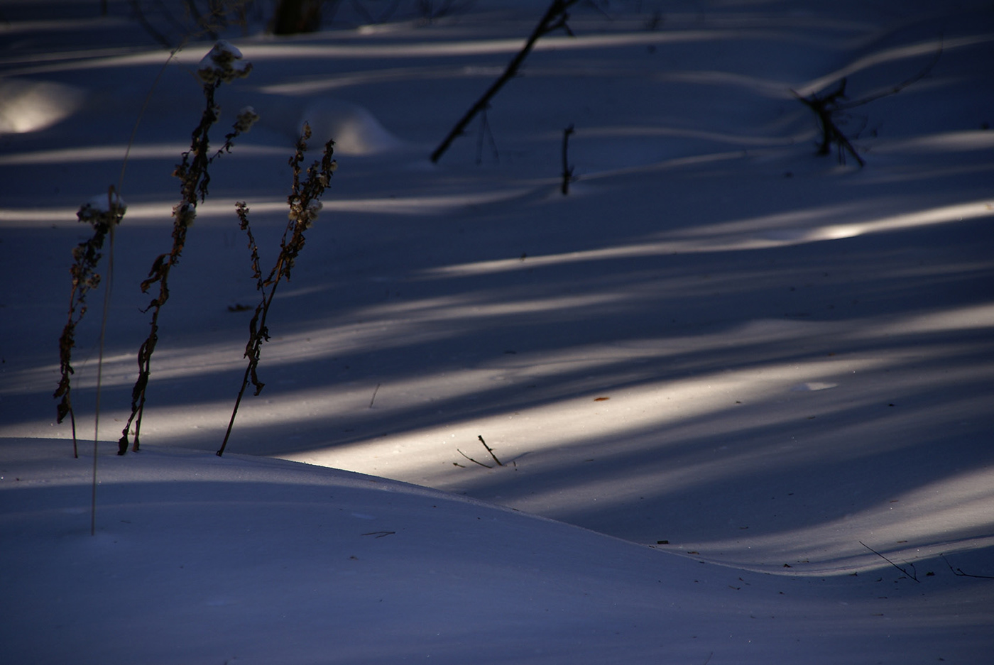 abstraction shadow snow winter
