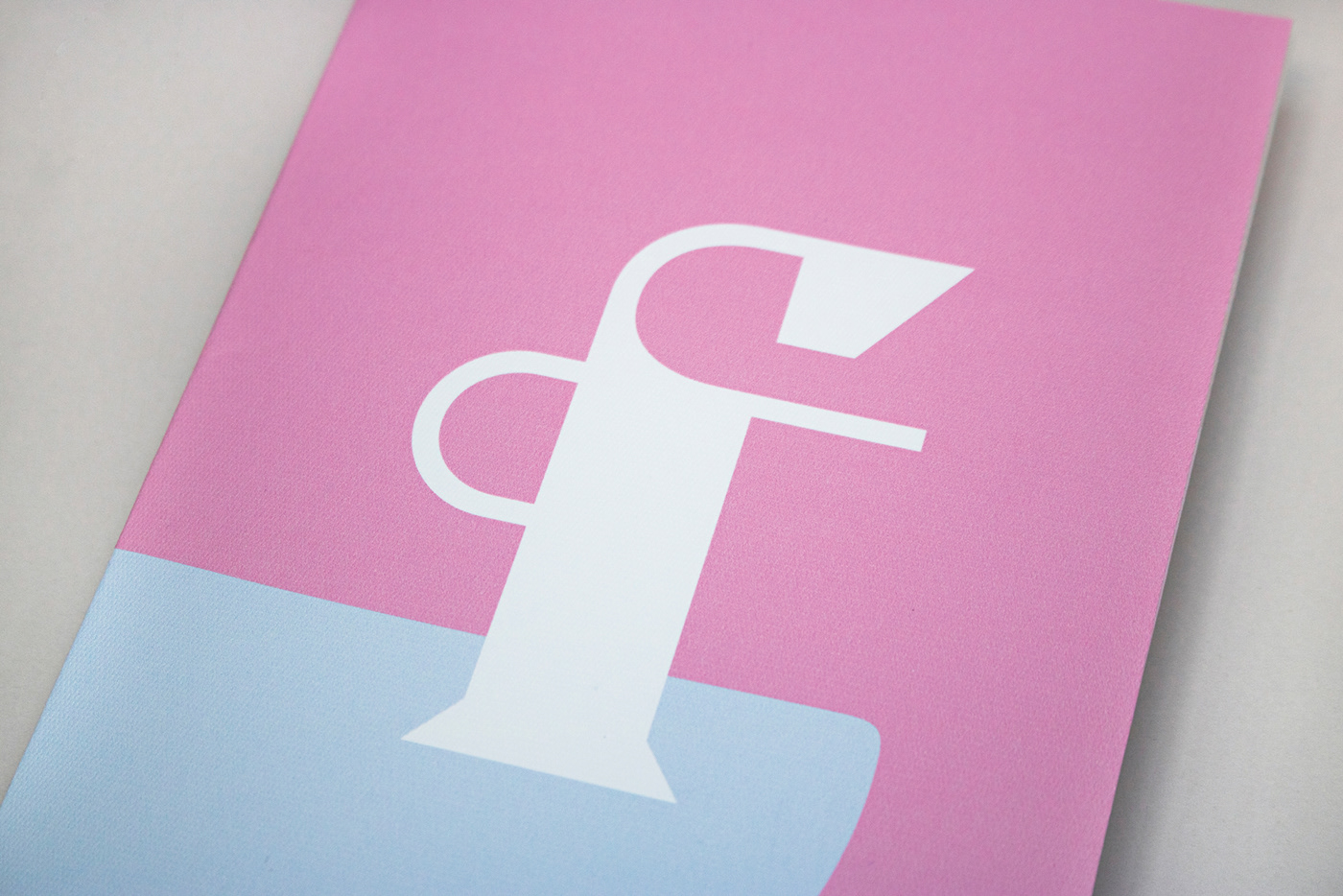 brandidentity branding  editorial editorialdesign graphicdesign logo Logotype Packaging print typography  