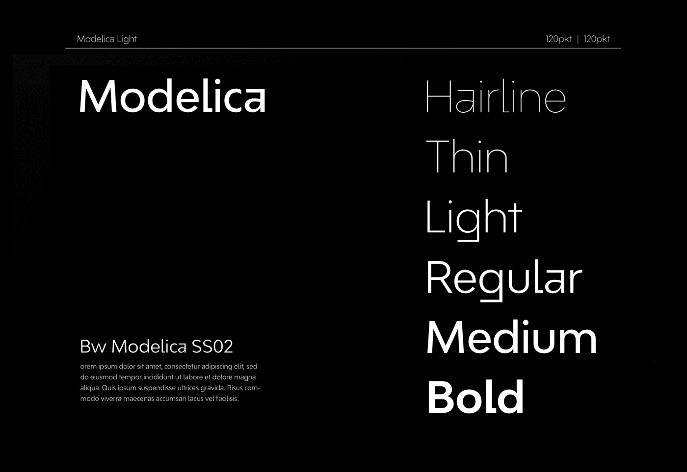  inception logotype was matched with Bw Modelica  a minimal, robust, reliable & pragmatic geometric 
