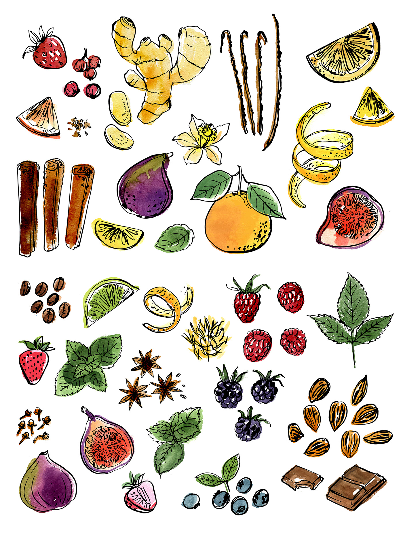 Colored sketch of fruits and vegetables on Behance
