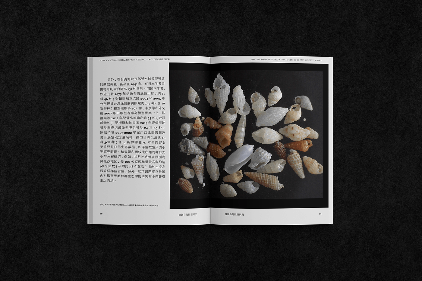 biology book design editorial Illustrated book Ocean sea shell 圖鑑 生物 그림책