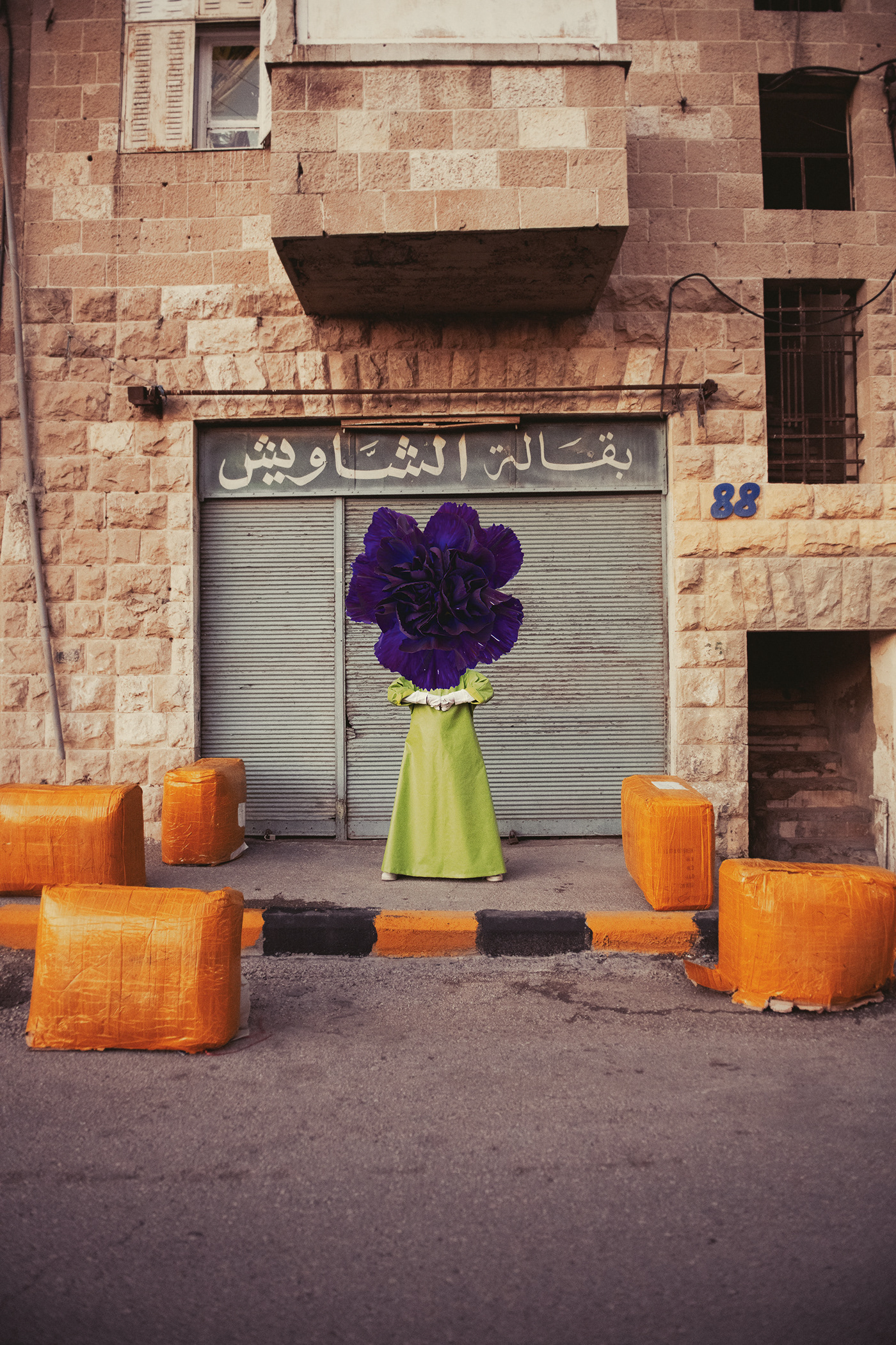 amman collage commercial Flowers kids people PersonalWork Photography  womenbehindthecamera