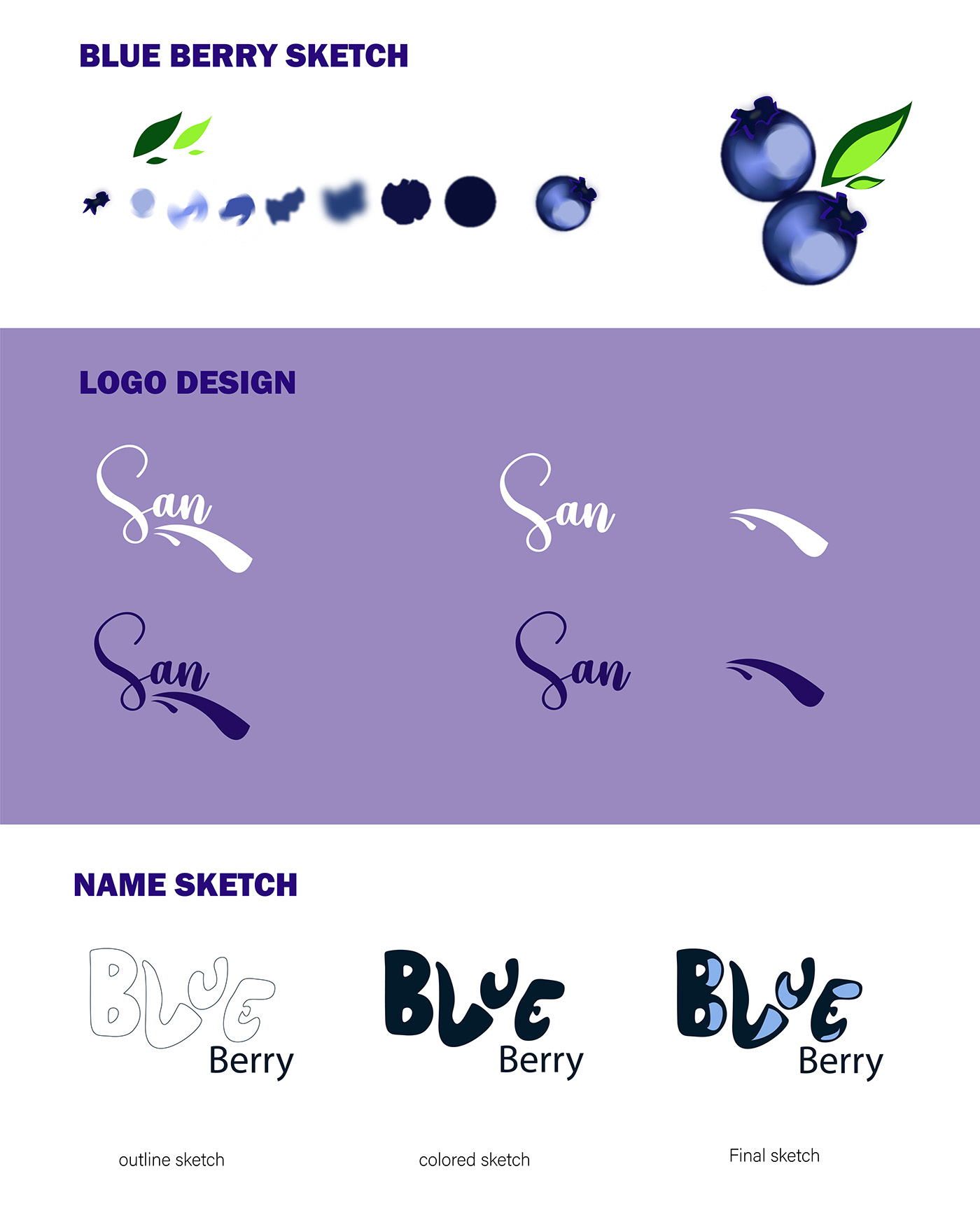 Brand Design Ice Cream Packaging Logo Design brand identity design visual identity adobe illustrator Graphic Designer photoshop blue berry packaging