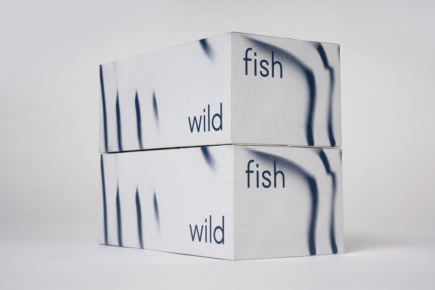 identity branding  print design  Packaging wild experimental water north fish waves