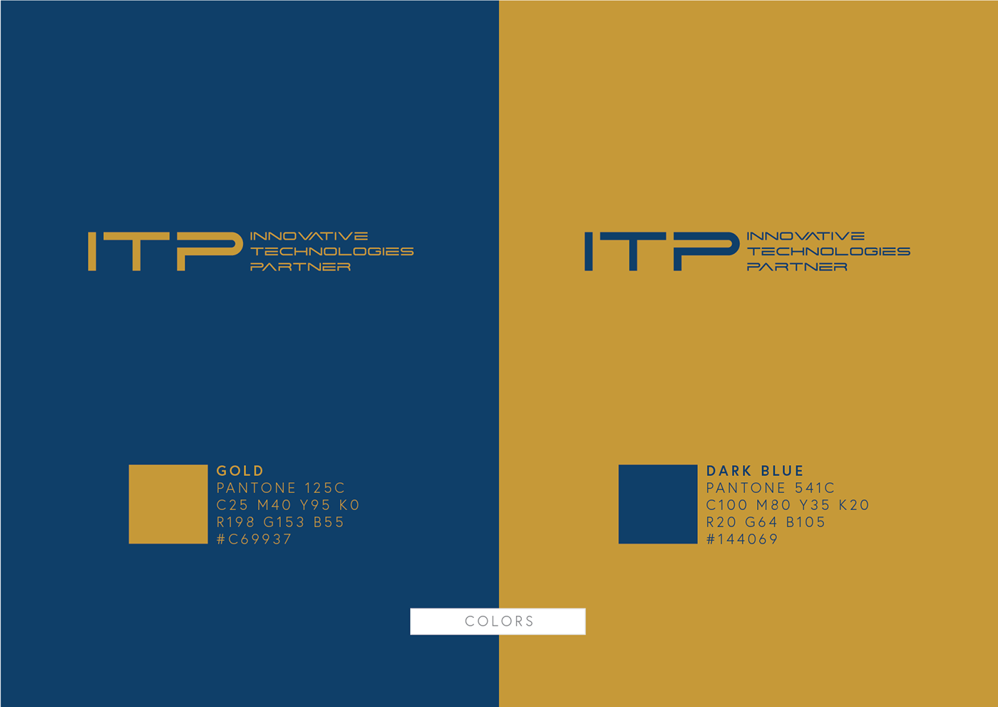 branding  futuristic IT logo luxury modern plexus technologies Web Design  Website