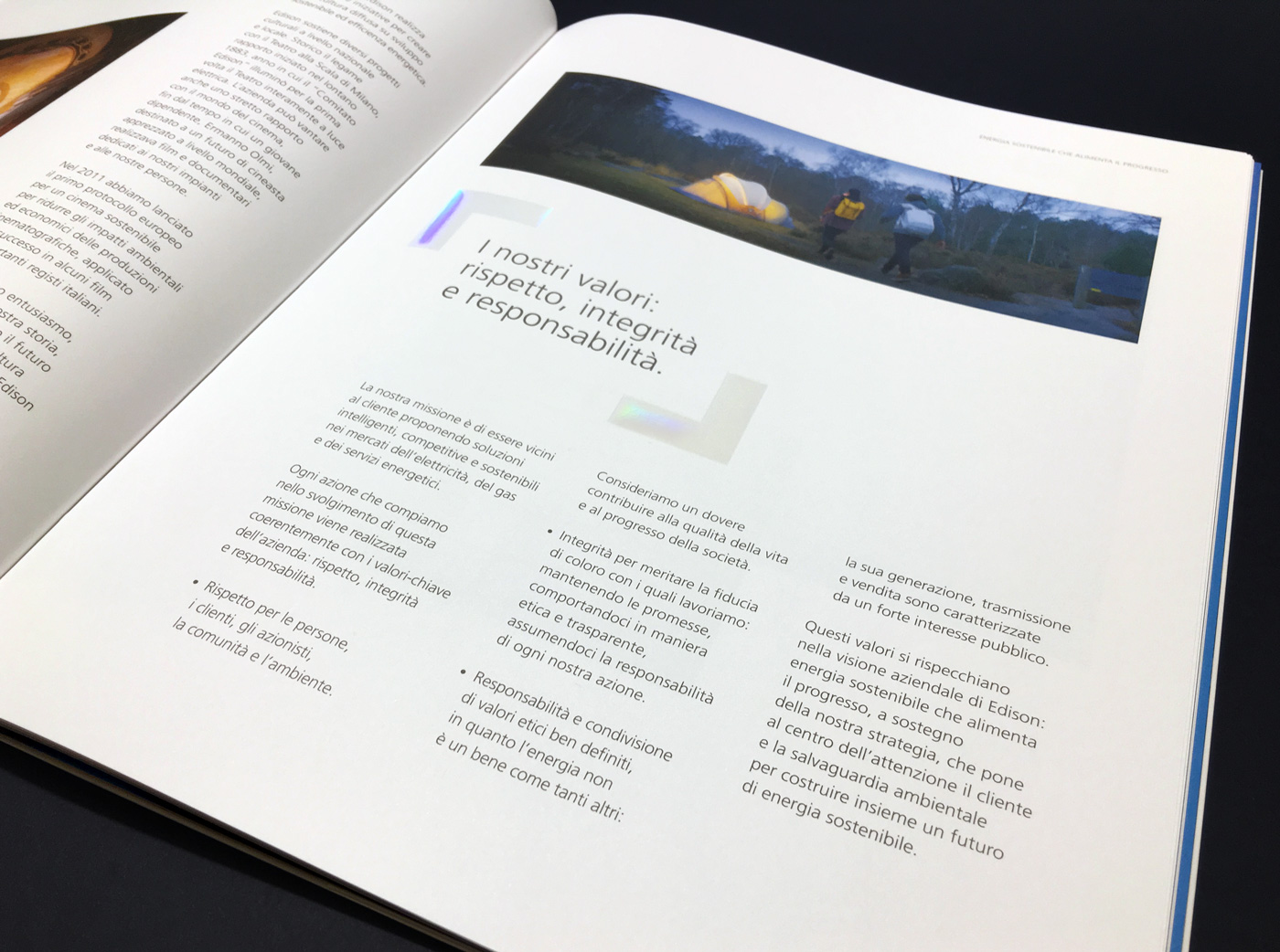 Monograph book print print design  graphic graphic design  editorial book design monograph design