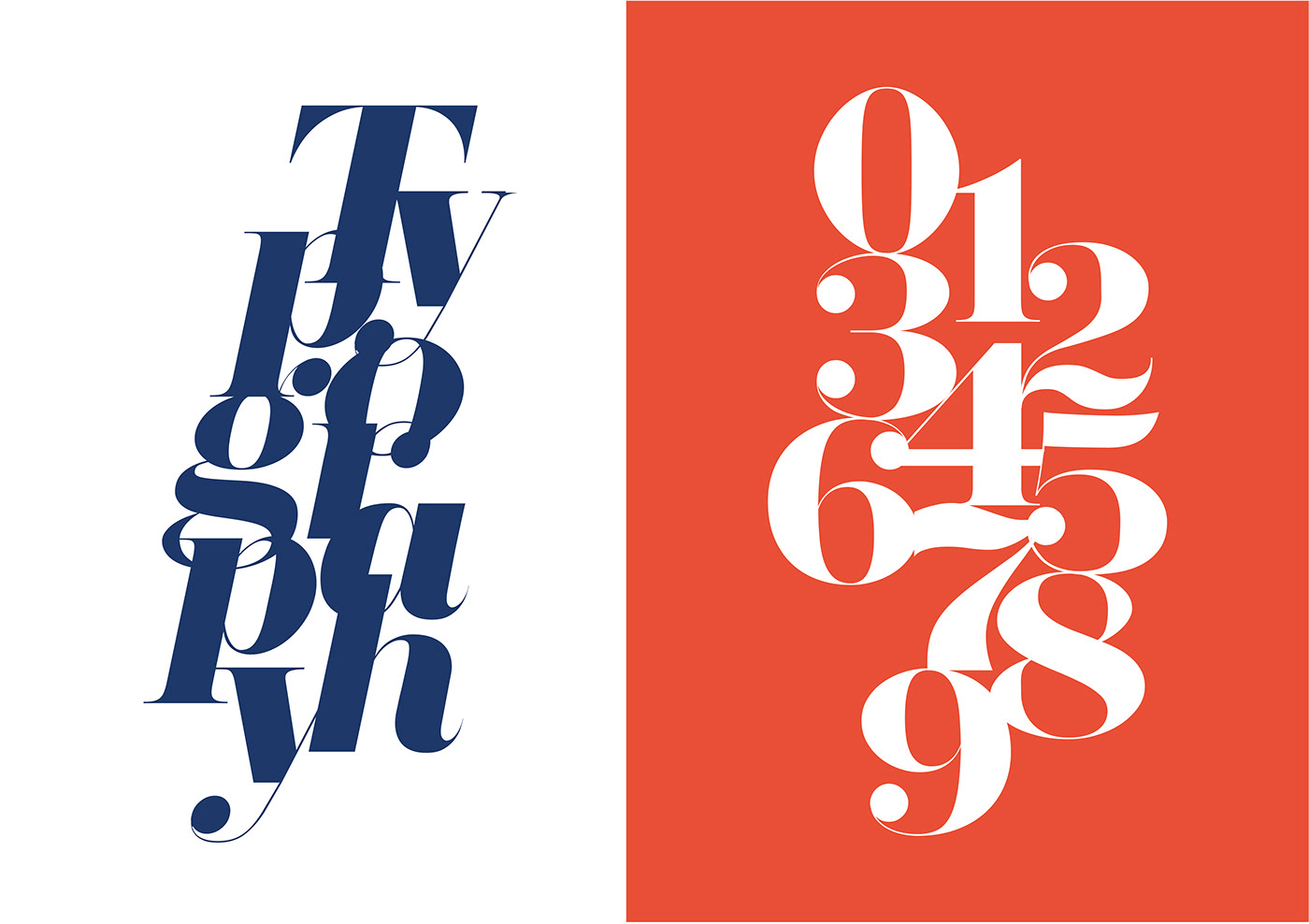 font Typeface elegant serif free Didone typography   type