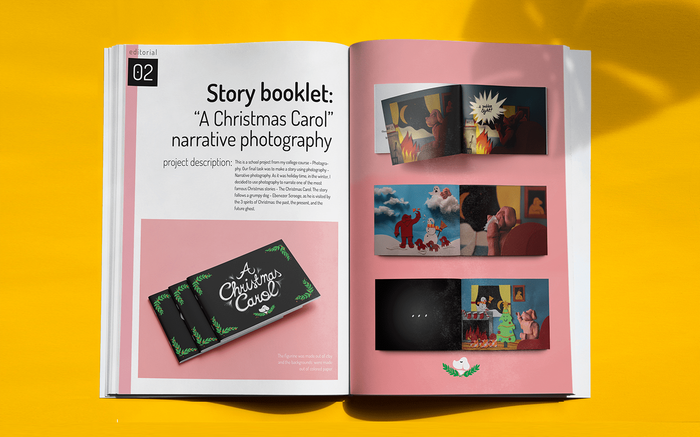book editorial folio Graphic Designer Layout portfolio portfolio book portfolios publication student