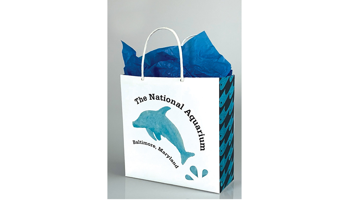 aquarium graphic design  ILLUSTRATION  package design  Retail Bag watercolor