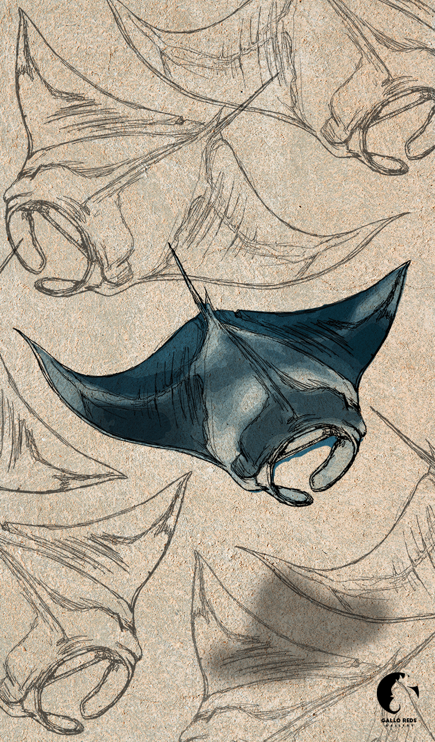 sea ballena marino oceano ilustration animal Drawing  Digital Art  ILLUSTRATION  Conservación Marina