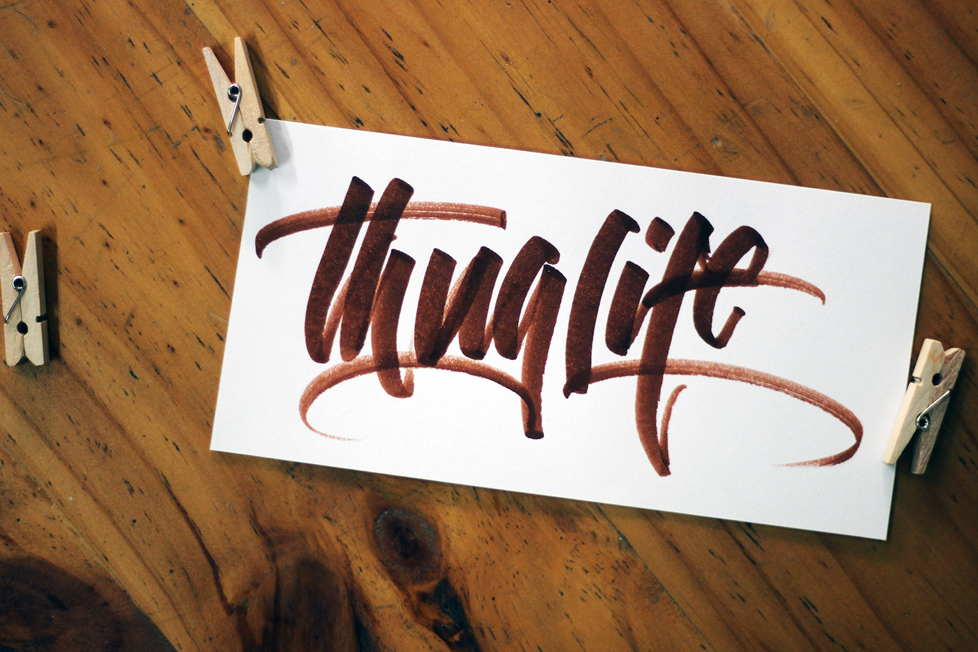 Calligraphy   lettering graphic design  typography   HAND LETTERING