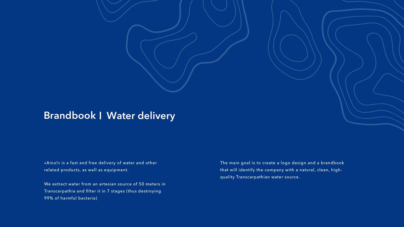 water delivery branding  brandbook Logo Design identity clean minimal mountains Logotype