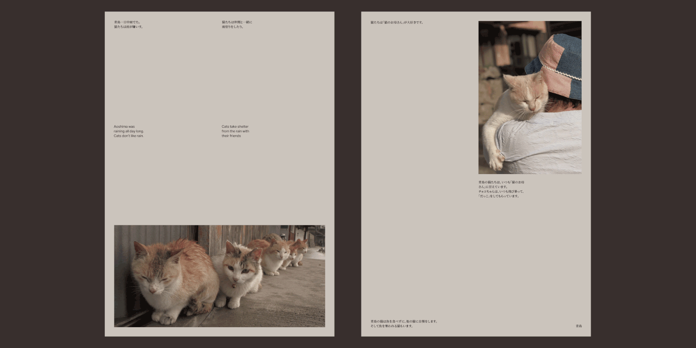 Aoshima cats ILLUSTRATION  japan photobook poster Sumi-e Visual indentity graphic design  editorial