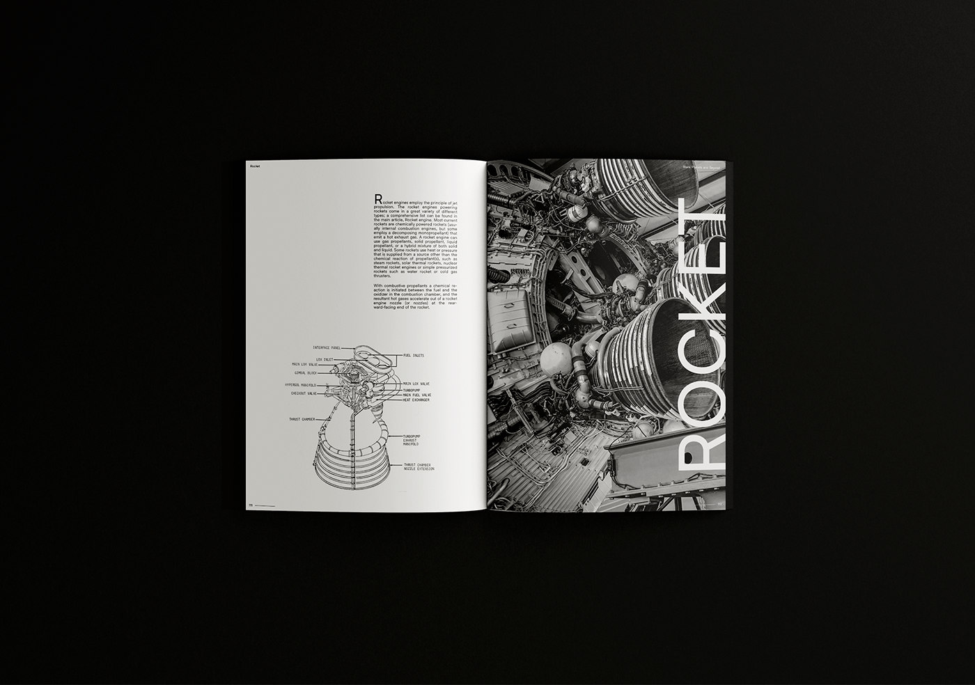 brochure editorial Layout book typography   visual identity editorial design  branding  minimal modern