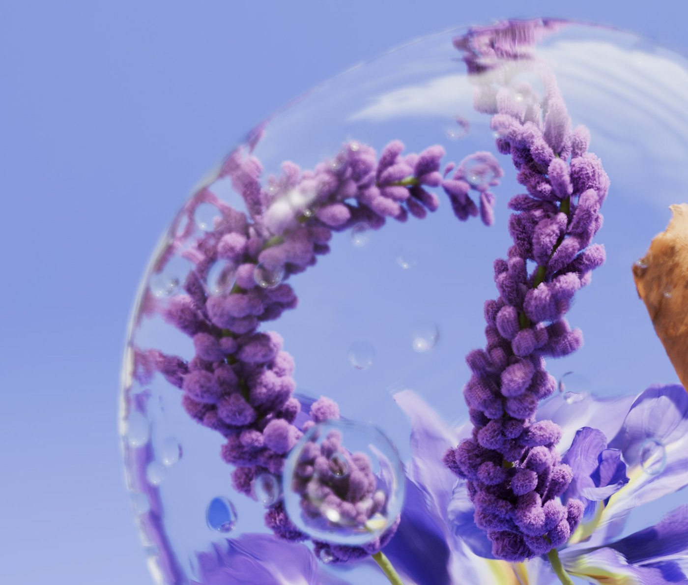 3D Advertising  animation  bathroom campaign lavender Nature orange water summer
