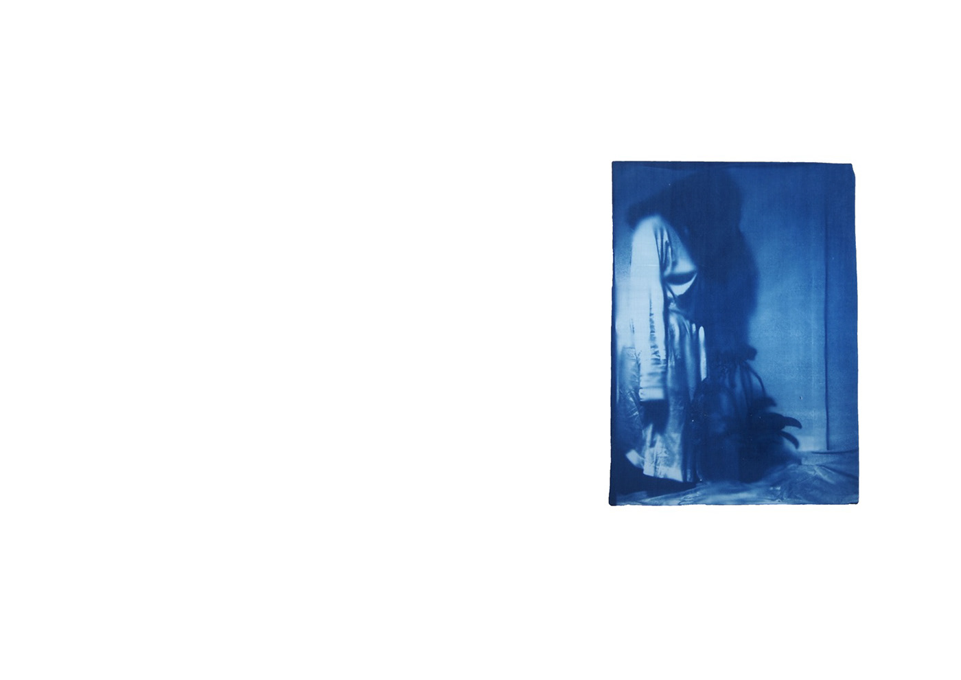cyanotype Photography  photographic process blue