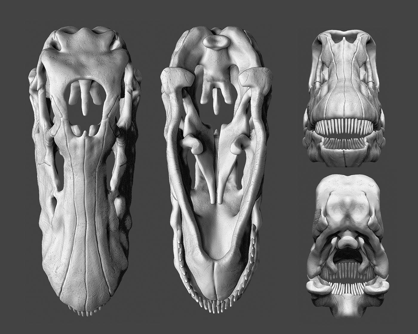 bone Dino Dinosaur paleoart paleontology prehistoric Sculpt skull t-rex Digital Art 