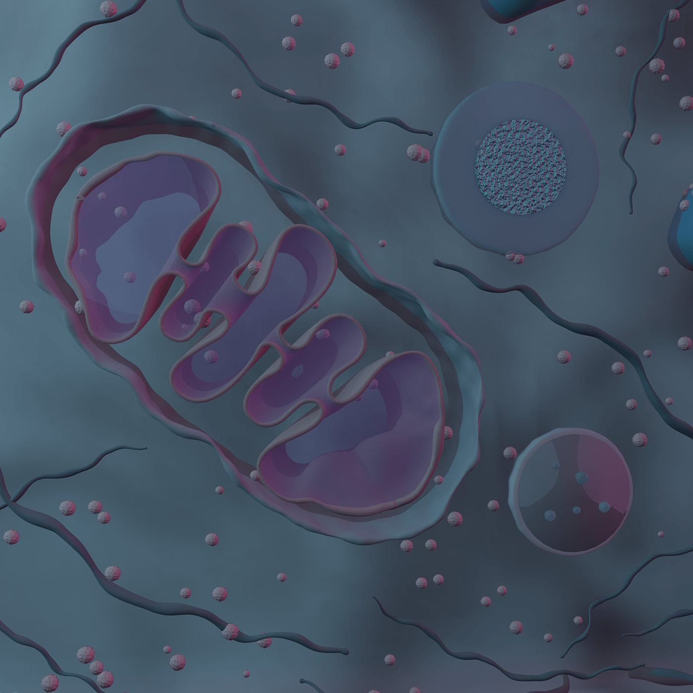 animal cell biology Cell eukaryotic Mitochondria molecular biology organelle SciArt science scientific illustration