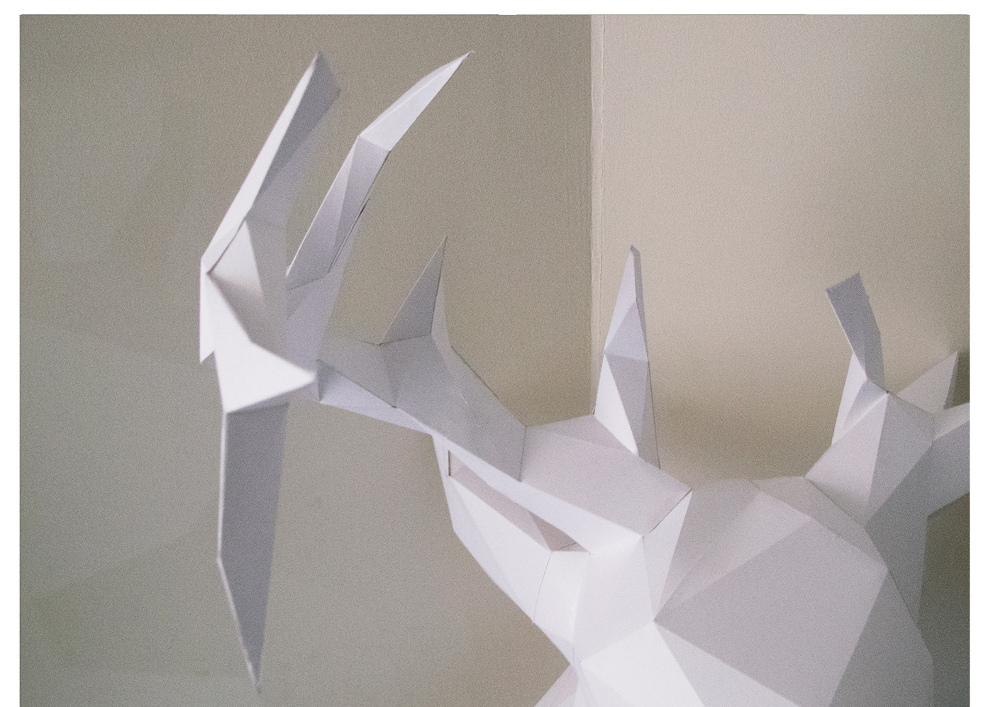 deer head horns paper Engineering  Nature structure White light shadow