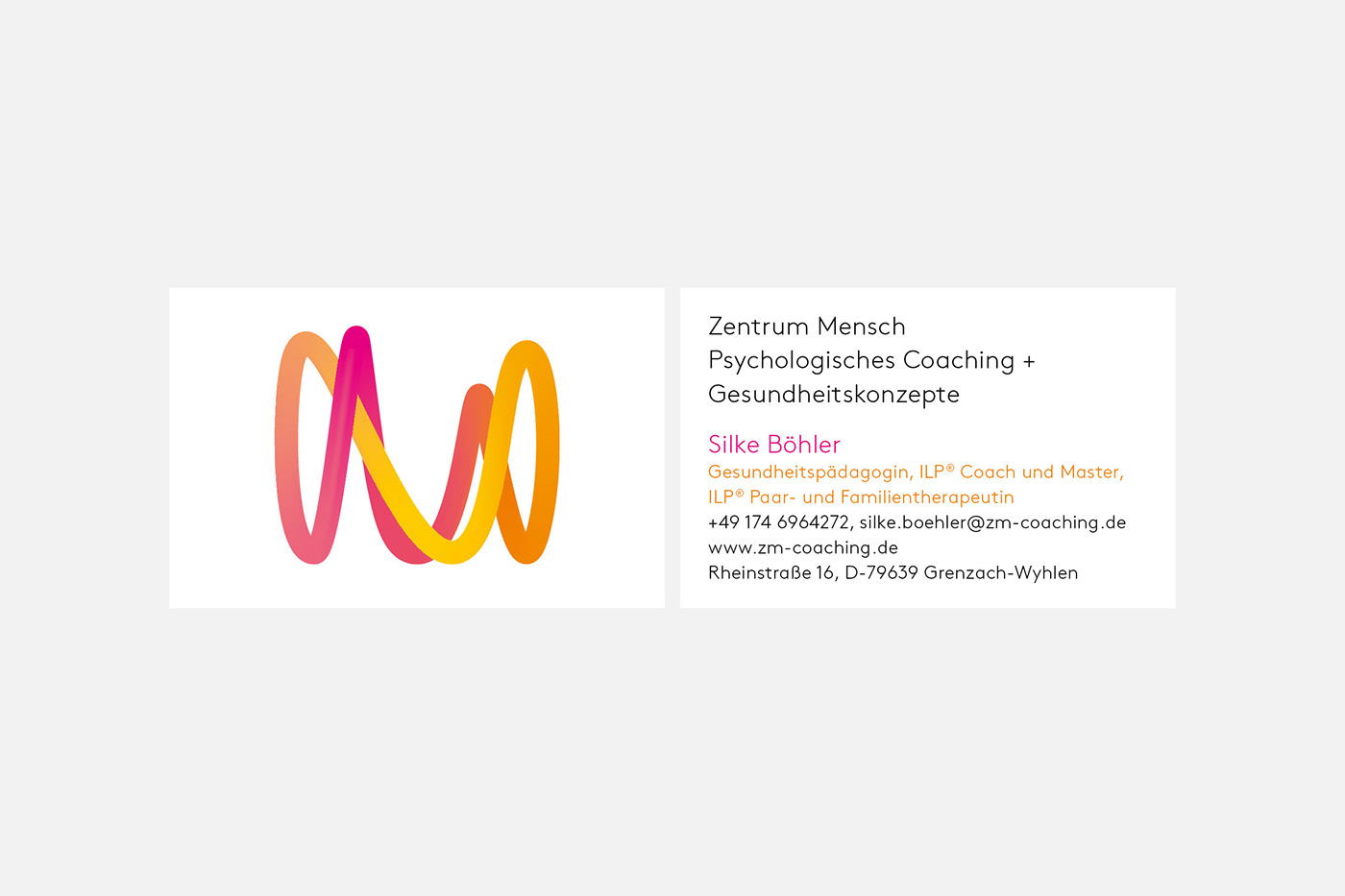 visual identity branding  logo brochure business card letterhead Website Webdesign coaching orange