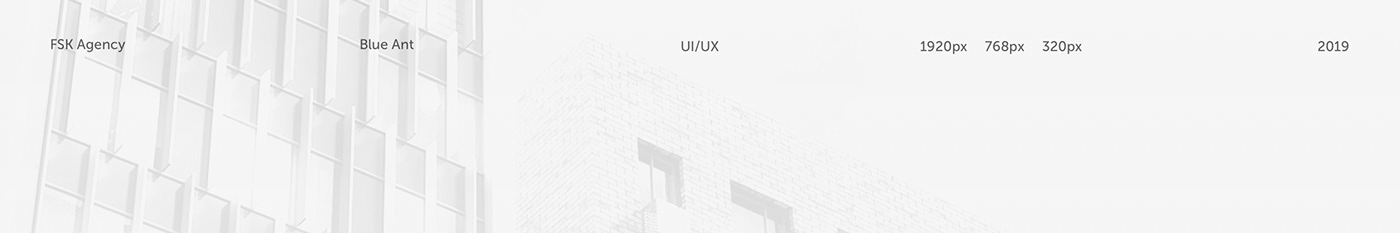 Web ux UI architecture real estate interaction Webdesign Style clean