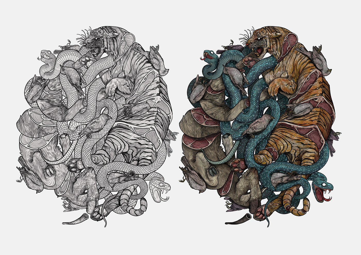 ILLUSTRATION  Drawing  digital illustration animals snake tiger Digital Art  sketch artist artwork