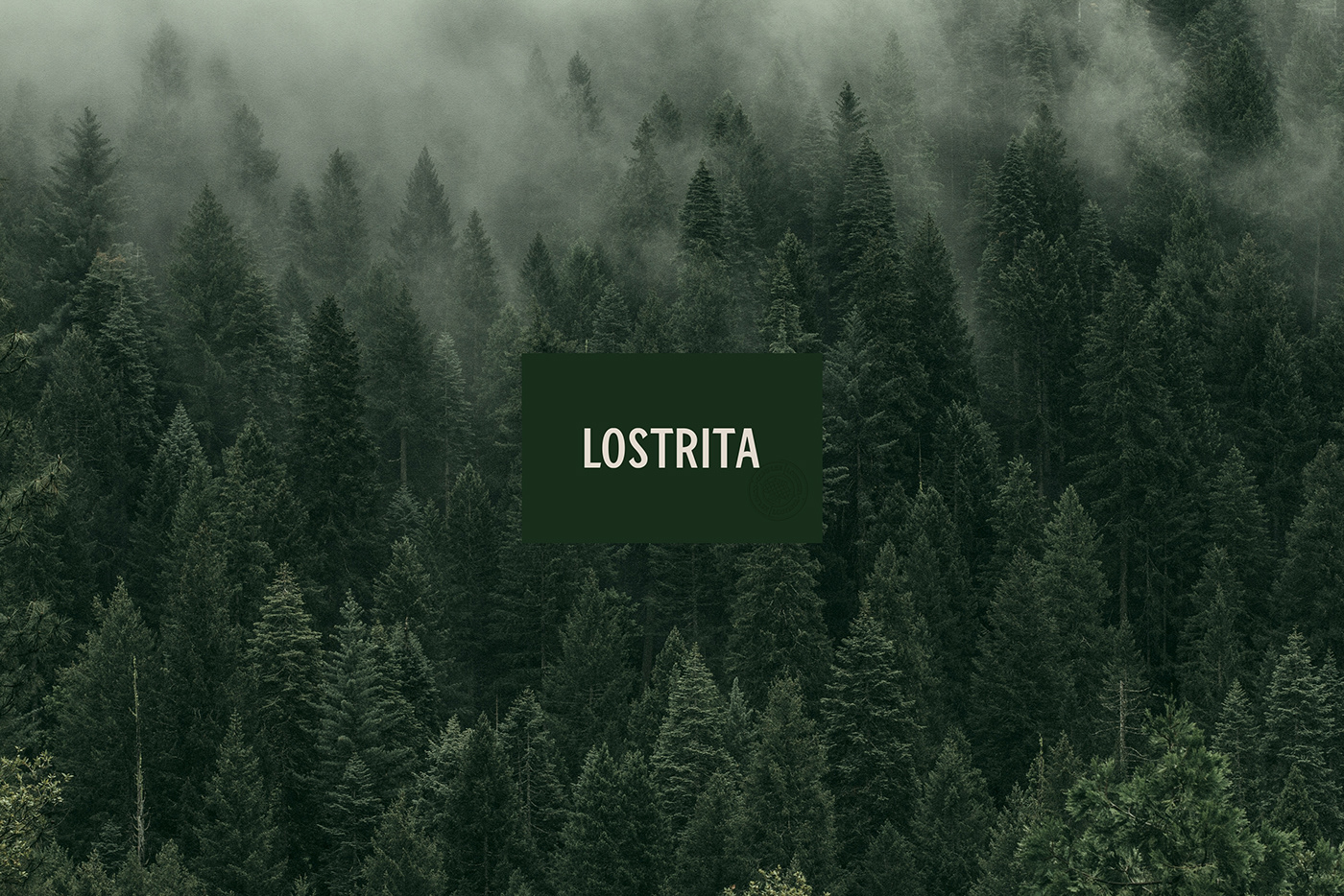 Logo Lostrita sob floresta de pinheiros