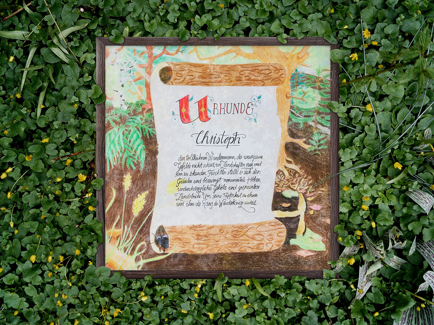 forest wood personal project color pencil pencil process making of poster 30x30 german Nature friend Mockup sketchbook