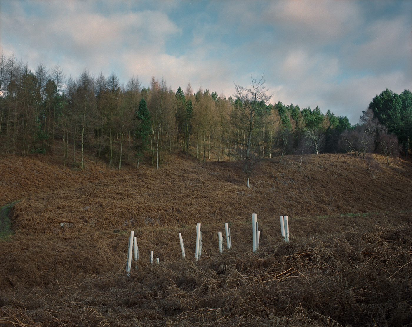 landscape photography film photography analog analog photography england english landscape Contemporary Landscape Paranormal chris round fine art photography