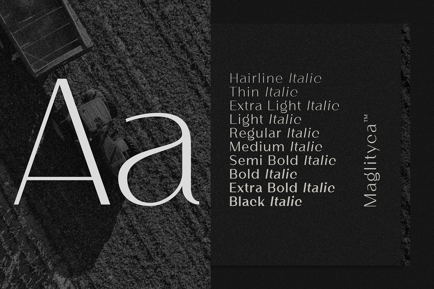 fonts Style type type design sans serif Typeface Logotype elegantfont Stylishfont