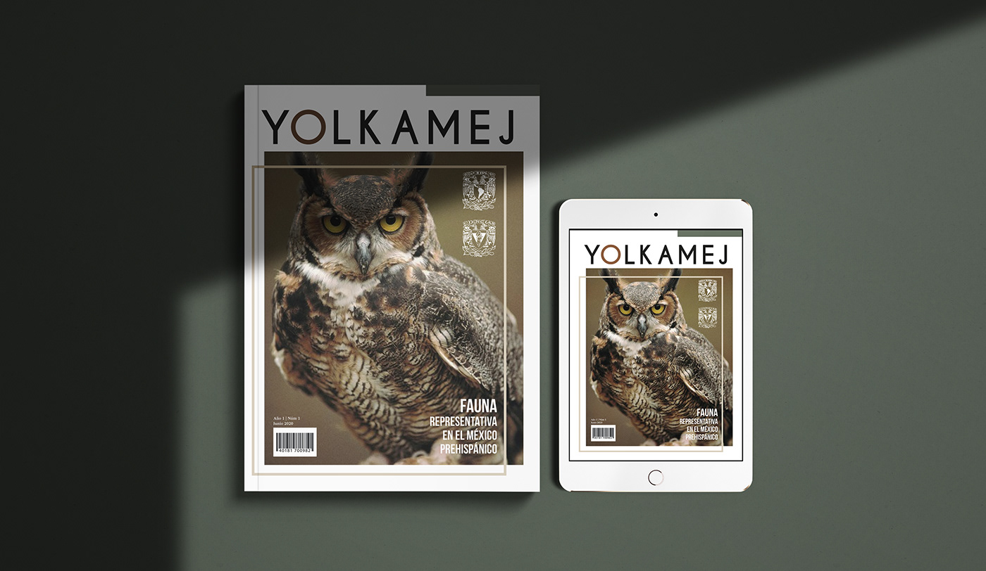 animals design diseño editorial InDesign magazine mexico revista tipografia typography  