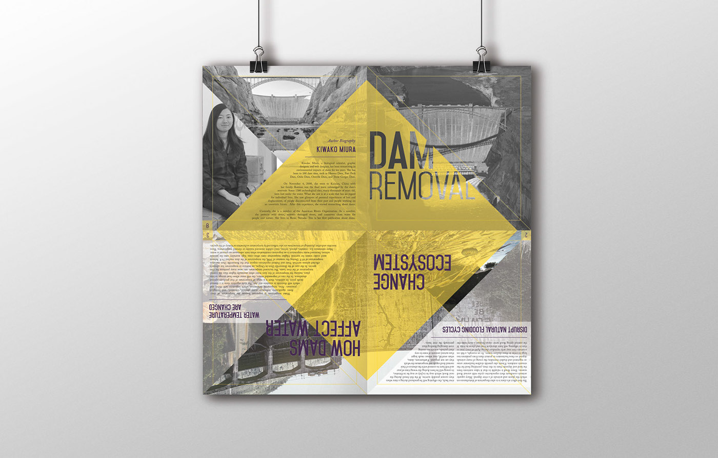 dam Dam Removal Environmental Impacts brochure