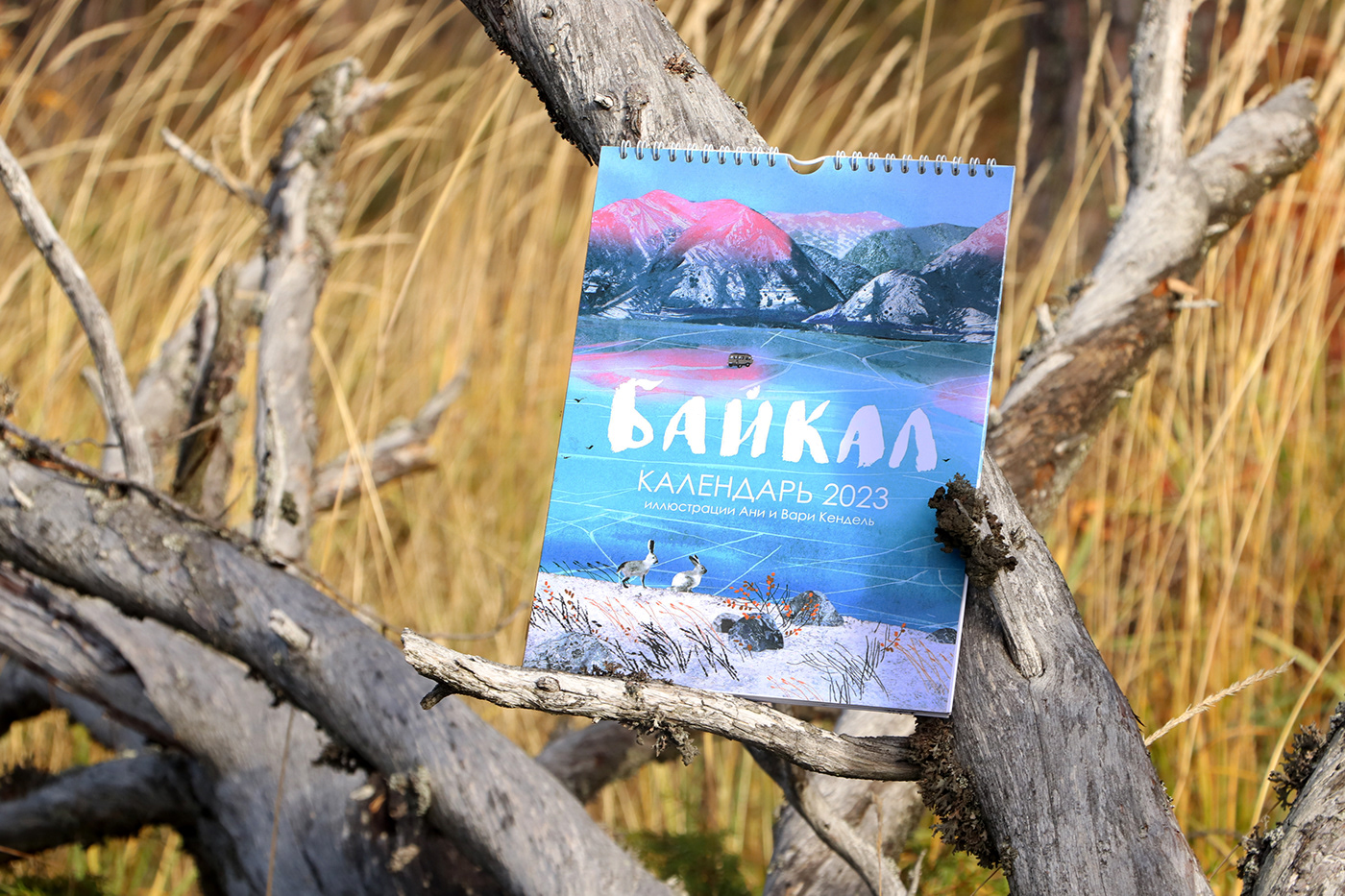 baikal calendar calendar design calendar2023 Drawing  ILLUSTRATION  Russia Siberia Travel winter