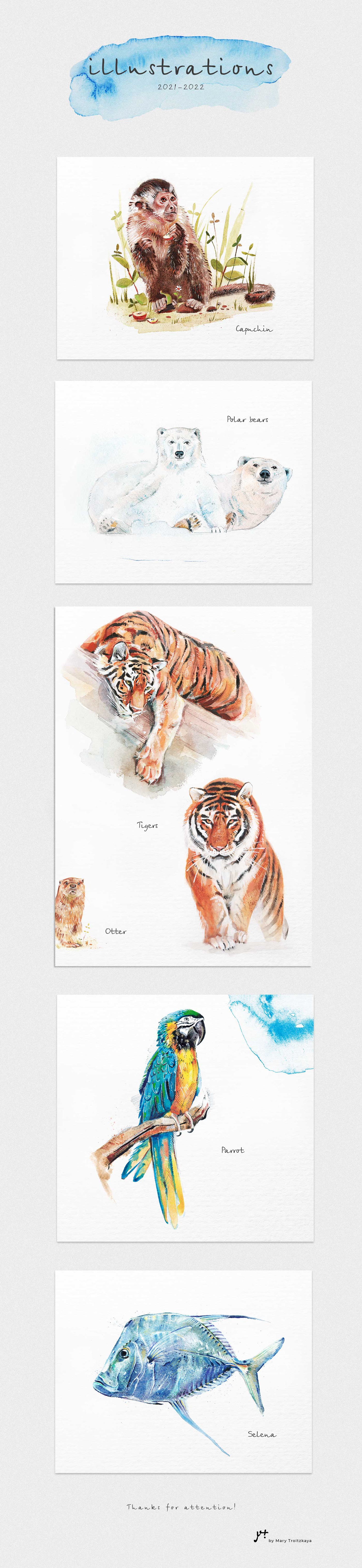 animal artwork brand identity Drawing  graphic design  marketing   painting   sketch