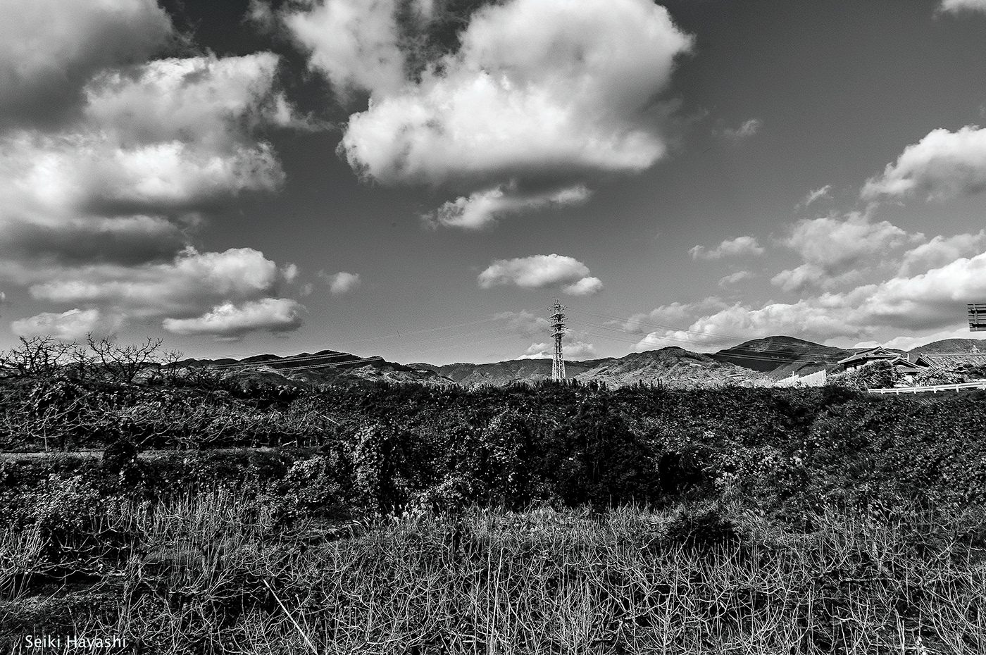 black and white countryside wakayama Kajii Motojiro japan lyricism