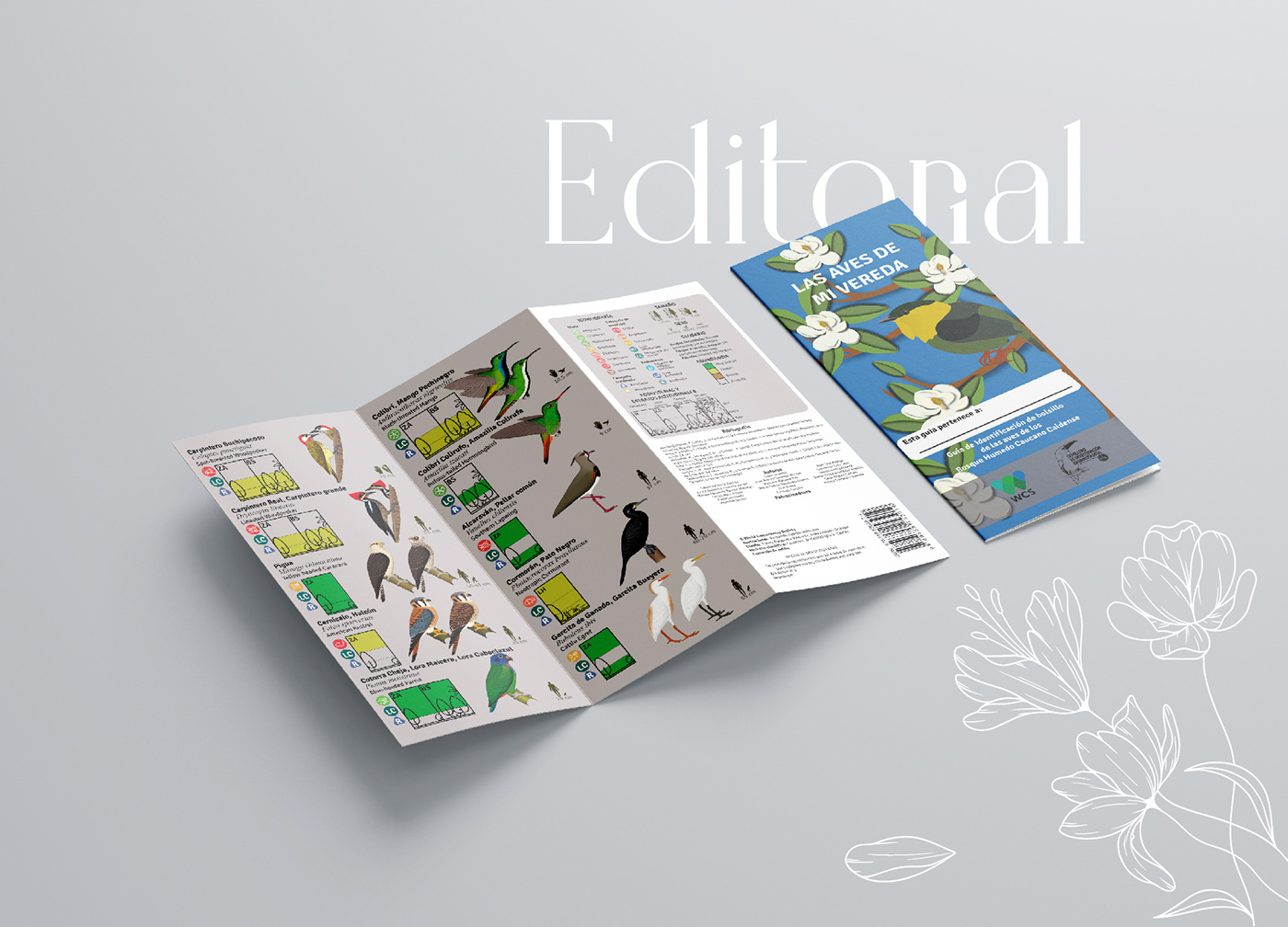 portfolio designportfolio Grapic Design branding  maps packing logo CV editorial visualdesigner