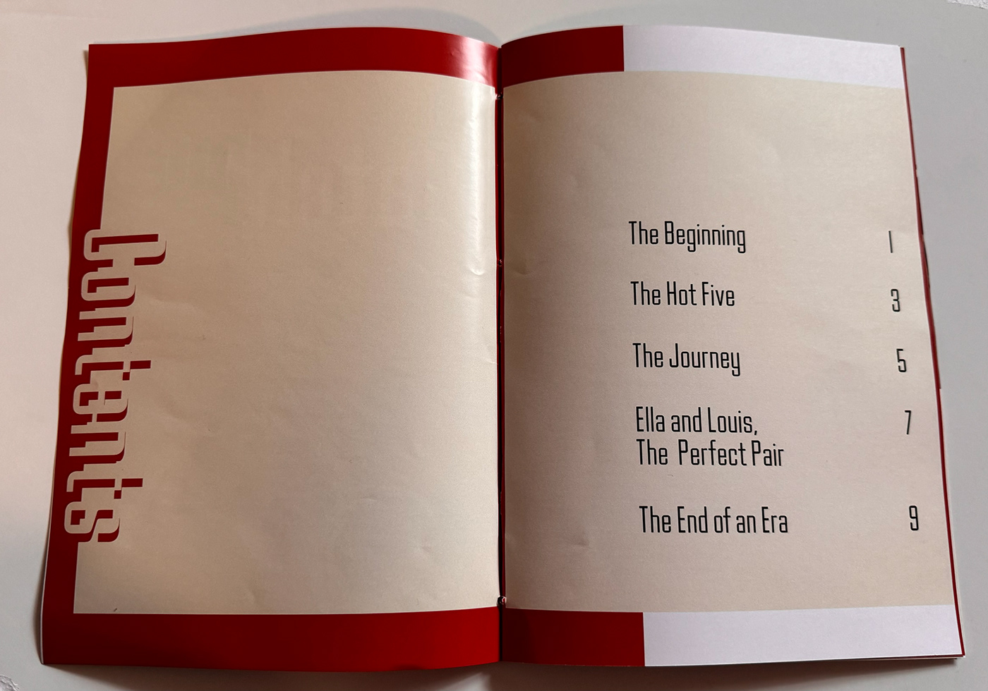 book cover editorial InDesign typography   design Graphic Designer