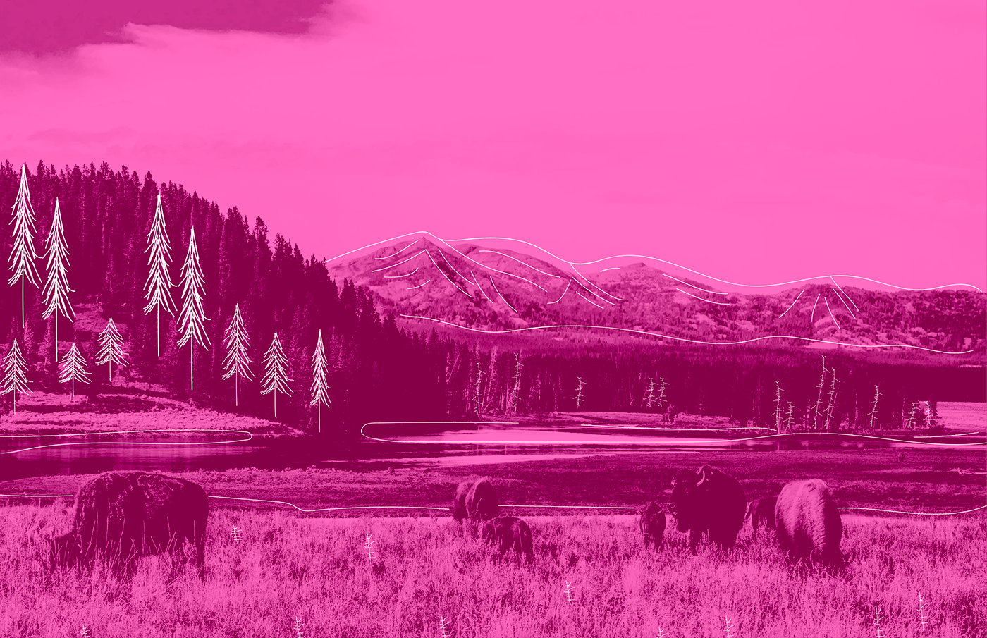 #graphicDesign #graphic #booklet #laylout #NationalPark #pinkandgreen #yellowstone